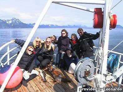 Nordis Lofoten Svolvaer