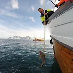 ホテル Nordis Lofoten スヴォルヴァール